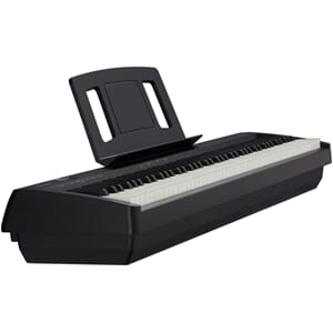 Roland FP10 - Sort