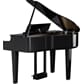 GP-6-PE_10.jpg