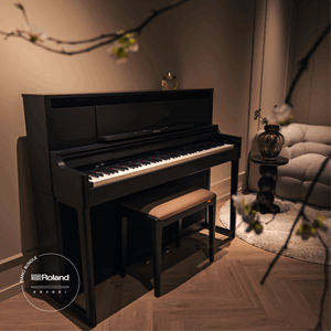 Roland LX6 Krakki Pakke