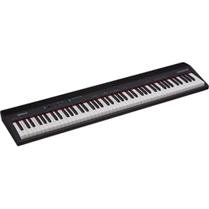 Roland GO:88 PX