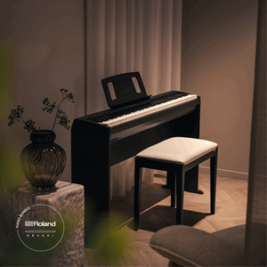 Roland FP-10 Krakki Pakke