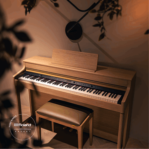 Roland HP702 Krakki Pakke