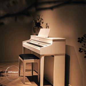 Roland HP702 Krakki Pakke