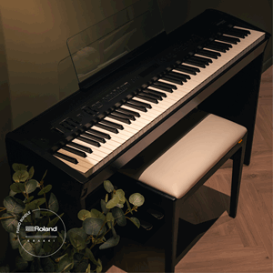 Roland FP-60X Krakki Pakke
