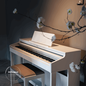 Roland RP701 Krakki Pakke