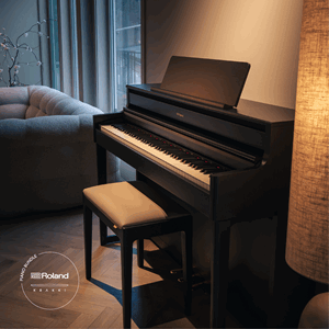 Roland HP704 Krakki Pakke