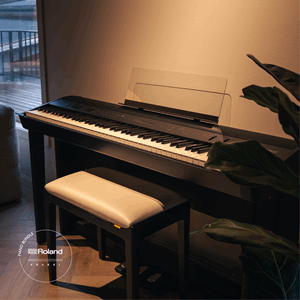 Roland FP-90X Krakki Pakke