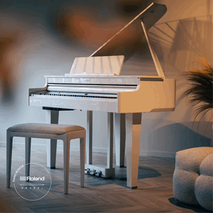 Roland GP6 Krakki Pakke