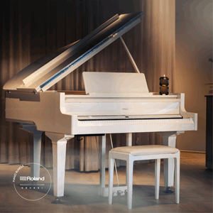Roland GP9 Krakki Pakke